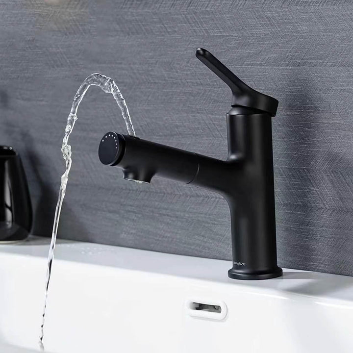 Waschtischarmatur mit Ausziehbar Brause Wasserhahn Bad,Einhebelmischer Badarmatur Waschbeckenarmatur