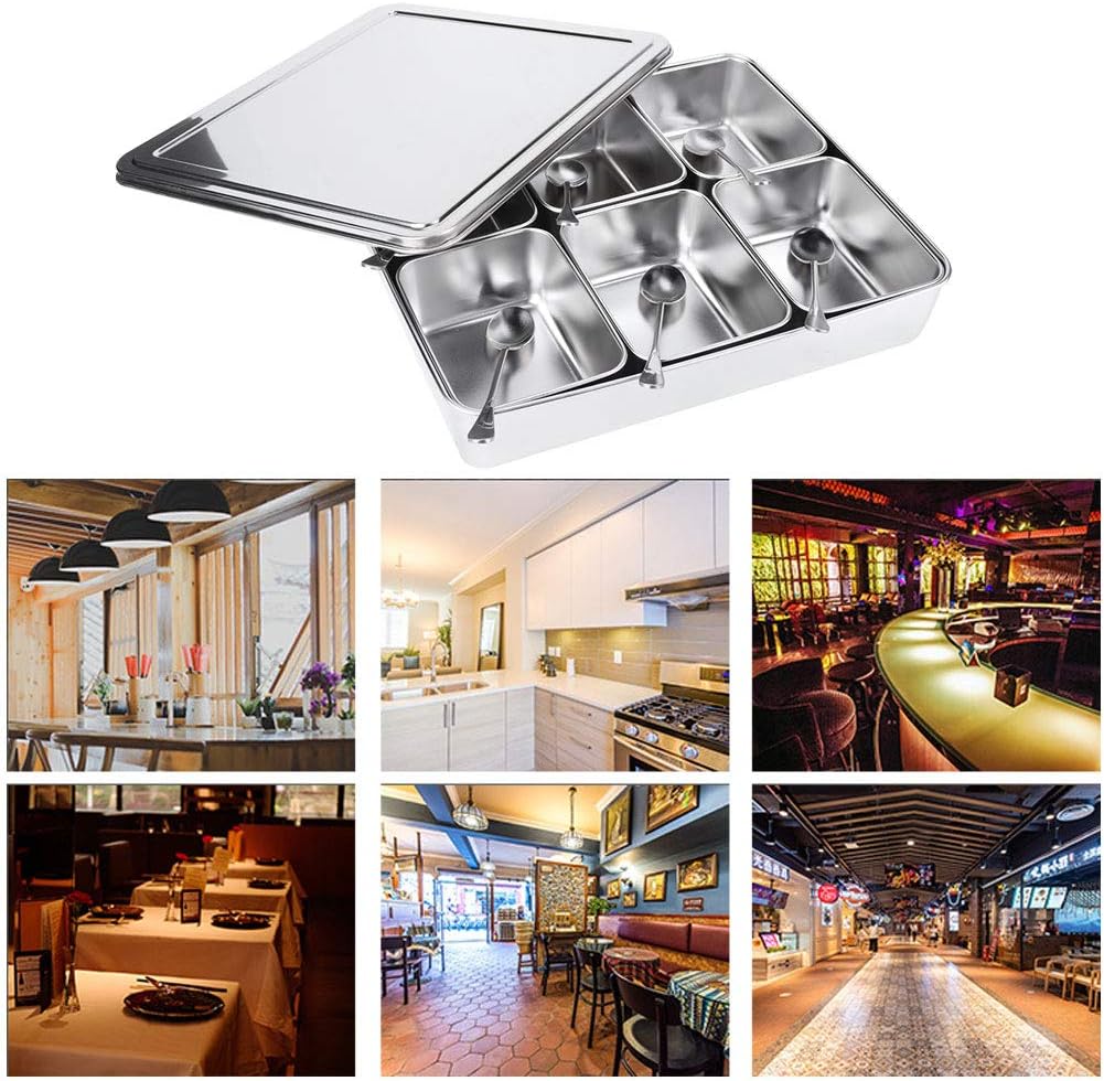 Haofy Edelstahl-Gewürzbox, Gewürzvorratsbehälter mit 6 Gittern, Gewürzglasbehälter-Set mit Löffeln K