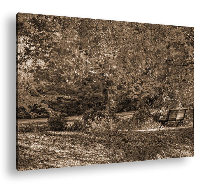 deyoli herbstlicher Natur Park Format: 80x60 Effekt: Sepia als Leinwandbild, Motiv fertig gerahmt au