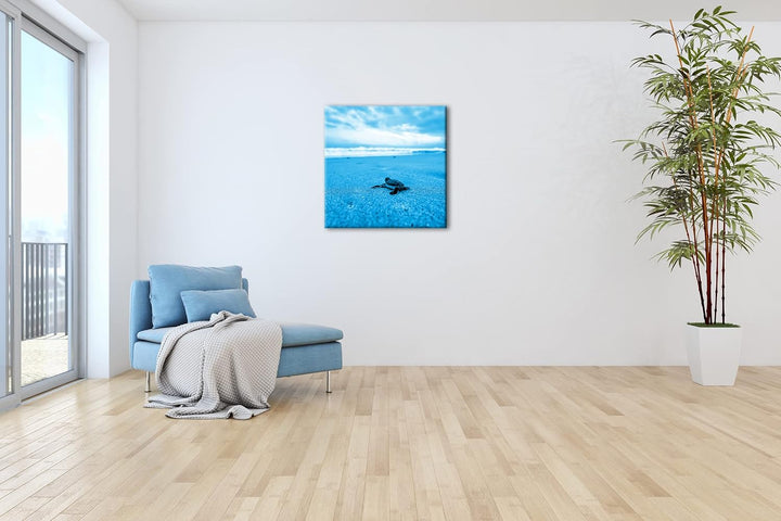 deyoli niedliche kleine Schildkröte Format: 70x70 Effekt: Monocrome Blau als Leinwandbild, Motiv fer