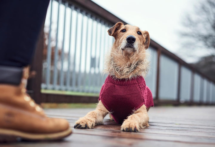HUNTER Hundepullover MALMÖ,45, bordeaux bordeaux 45, bordeaux 45