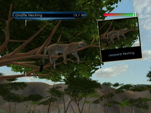 Wild Earth: African Safari