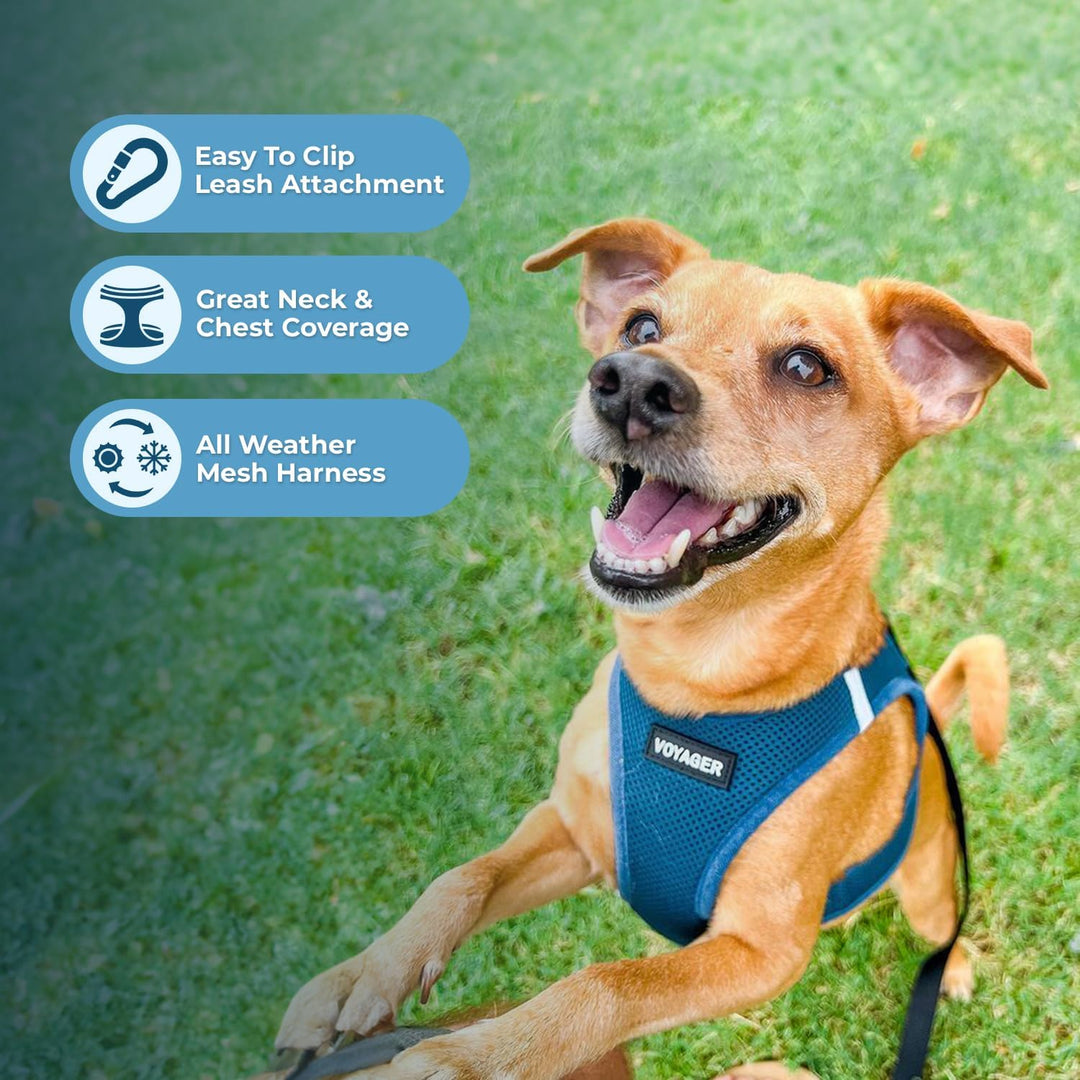Voyager Step-In Air-Hundegeschirr – Allwetter-Mesh-Step-in-Weste für kleine und mittelgrosse Hunde u