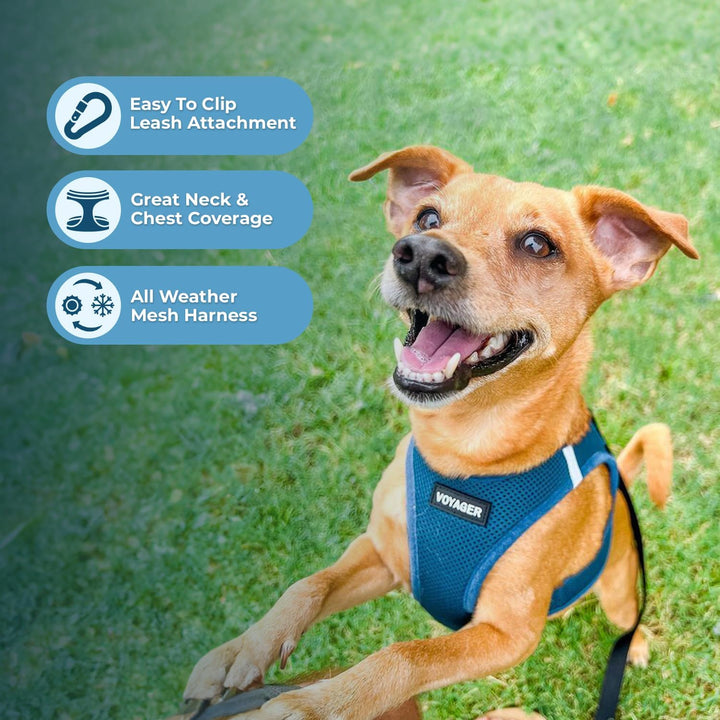 Voyager Step-In Air-Hundegeschirr – Allwetter-Mesh-Step-in-Weste für kleine und mittelgrosse Hunde u