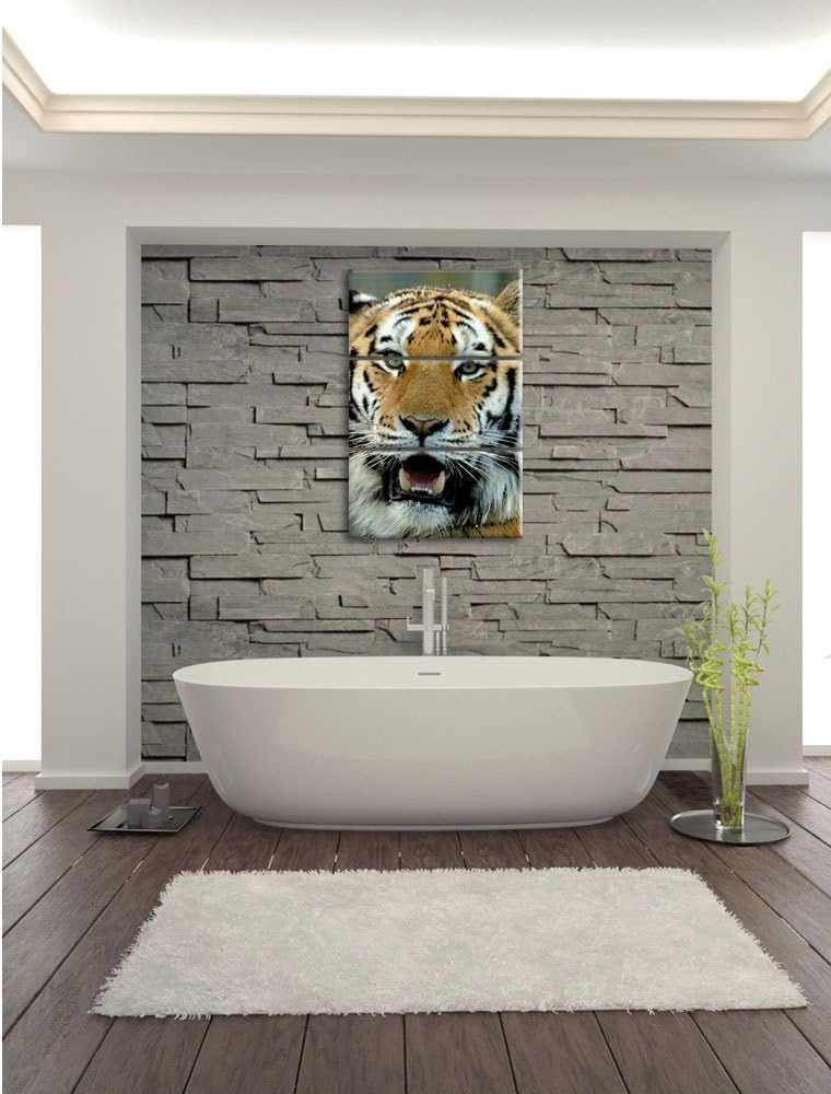 Pixxprint Tiger mit offenem Maul 3-Teiler Leinwandbild 120x80 Bild auf Leinwand