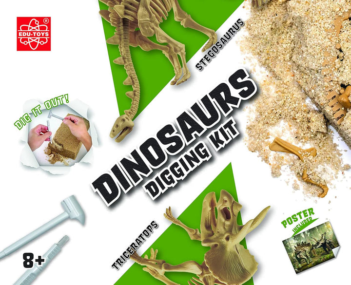 Grosses 2in1 Dinosaurier Ausgrabungsset mit Werkzeug Triceraptops und Stegosaurus in schwerem Sandbl