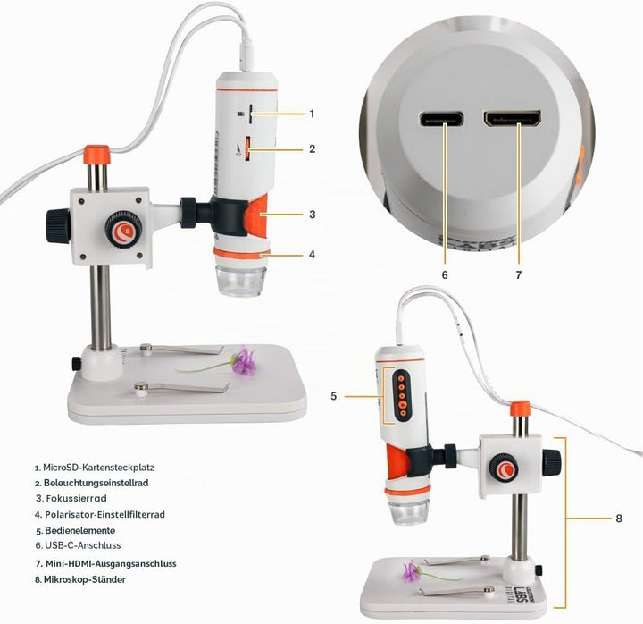 Celestron 44316 MicroDirect 1080P HDMI digitales Hand-Mikroskop, 10- bis 220-fache Vergrösserung, Gr