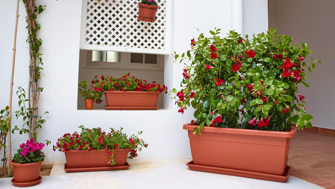 VENEZIA XL PLANT BOX 80CM ANTHRACITE