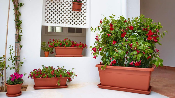 VENEZIA XL PLANT BOX 80CM ANTHRACITE