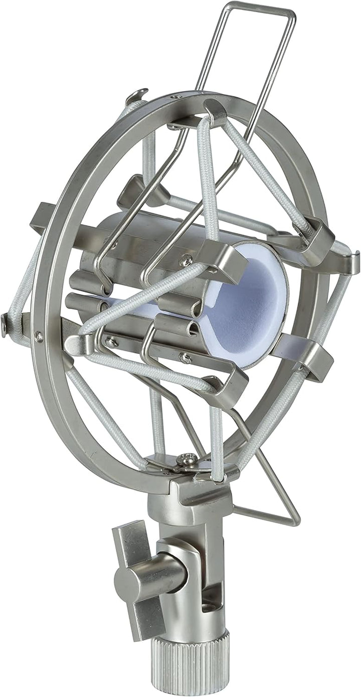 Fame Audio Pro Series VRM-12, Bändchenmikrofon in Silber, Richtcharakteristik Acht, XLR 3 Pol Anschl