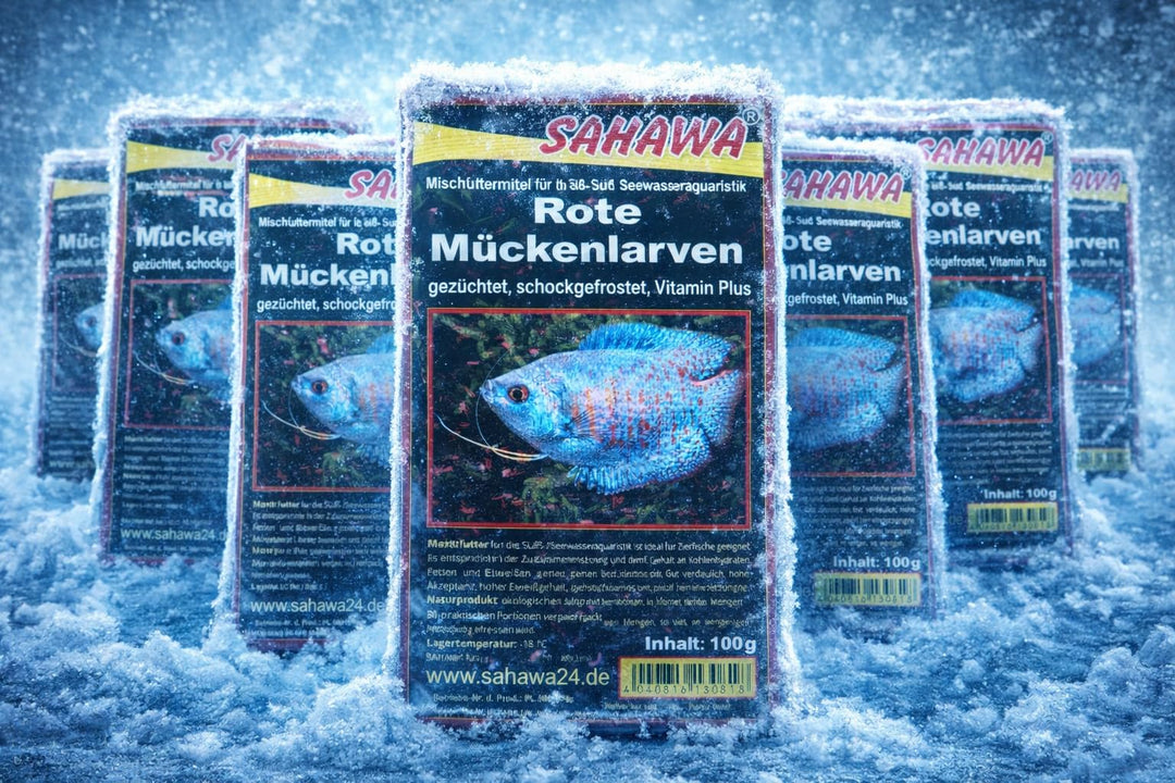 Frostfutter Rote Mückenlarven klein 10x 100g Blistert Fischfutter