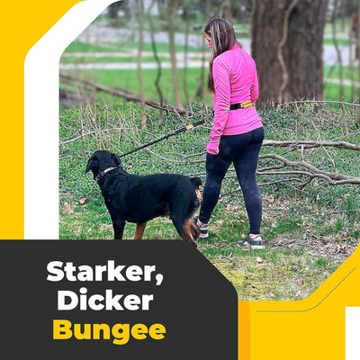 Joggingleine Hunde mit Bauchgurt für Hundeleine für Grosse Hunde/Mittelgrosse Hunde bis 60 kg - Lauf