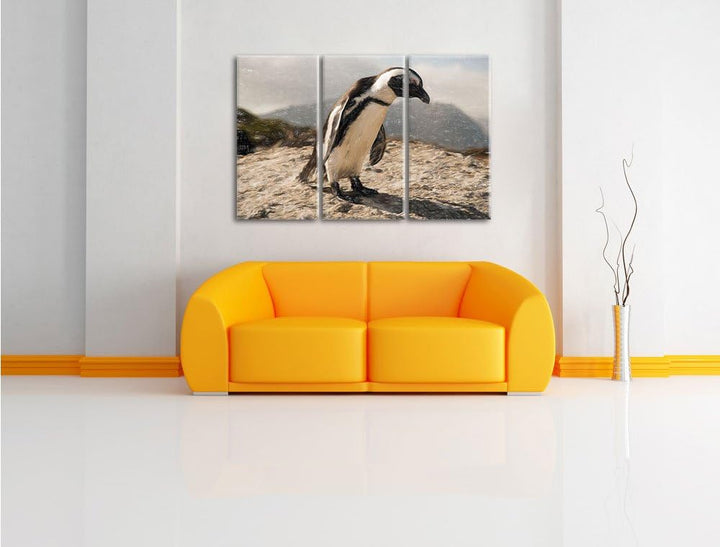 Pixxprint Afrikanischer Pinguin beobachtet als Leinwandbild/Grösse: 3 Teilig (120x80) cm/Wandbild/Ku