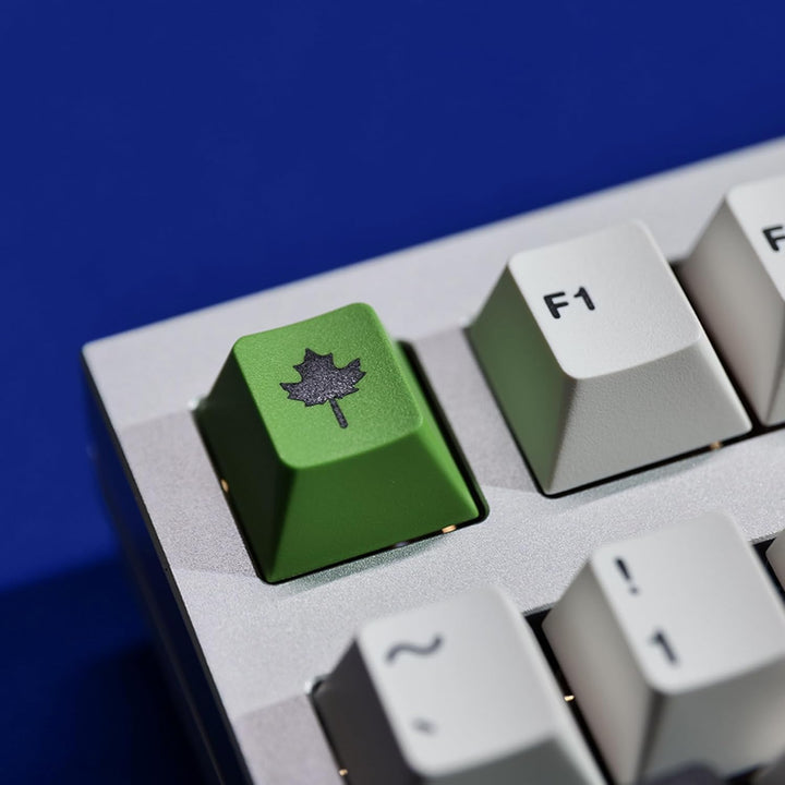 SOLIDEE Cherry Profil PBT Keycaps Set mit 170 Tasten,Custom Tastenkappen für mechanische Gaming Tast