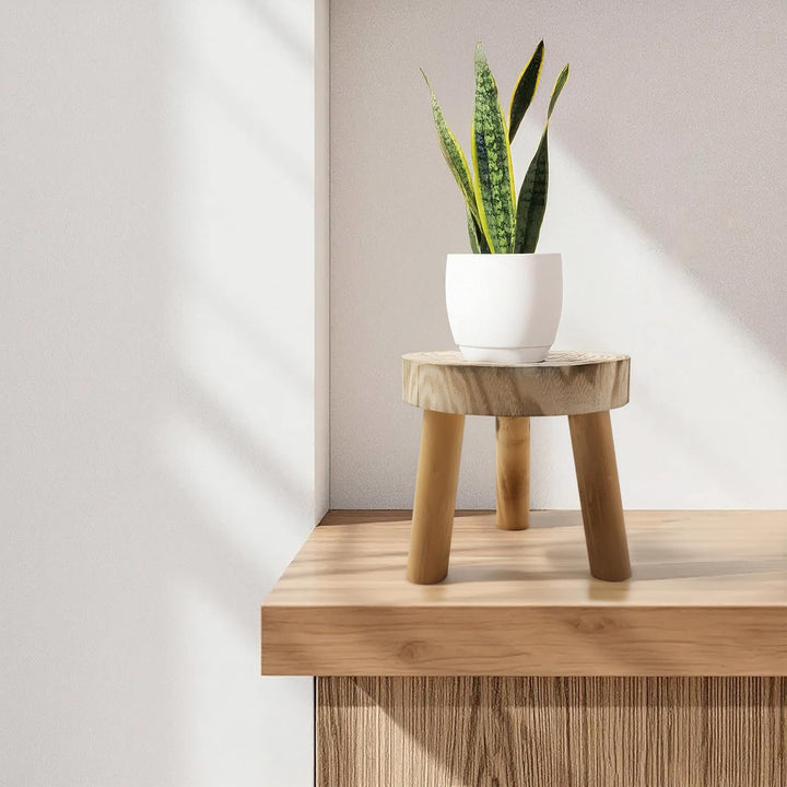 Spetebo Baumscheibe Blumenhocker rund natur Echtholz - 22 x 20 cm - Holz Dekohocker naturbelassen mi
