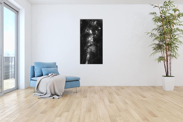 ein Wald voller Bambus Panorama 60x30 cm Effekt: Schwarz/Weiss als Leinwandbild, Motiv fertig gerahm