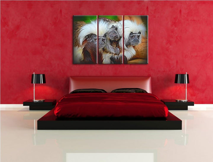 kleine Lisztäffchen-Familie NewArt 3-Teiler Leinwandbild 120x80 Bild auf Leinwand, XXL riesige Bilde
