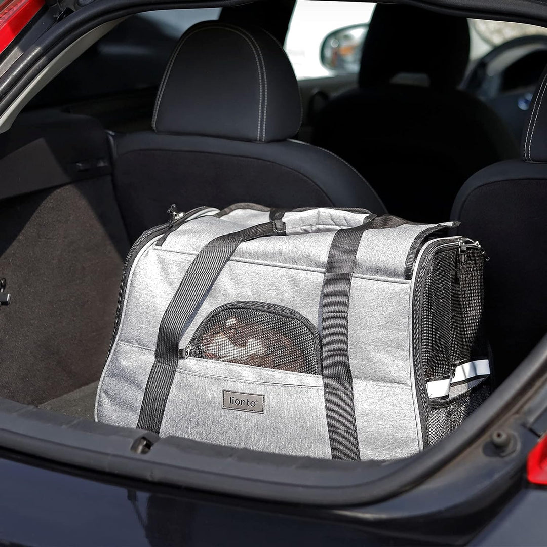 lionto Faltbare Hundetasche Hundebox Reisetasche für Haustiere Hundetransportbox Flugzeugtasche für