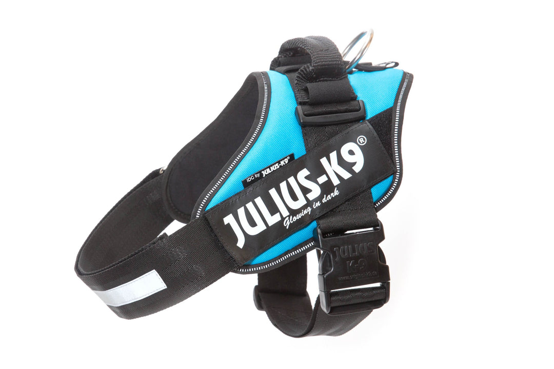 JULIUS K-9 IDC Powerharness für Hunde mit zwei kostenlosen individuellen Patches, Aquamarin, Grösse