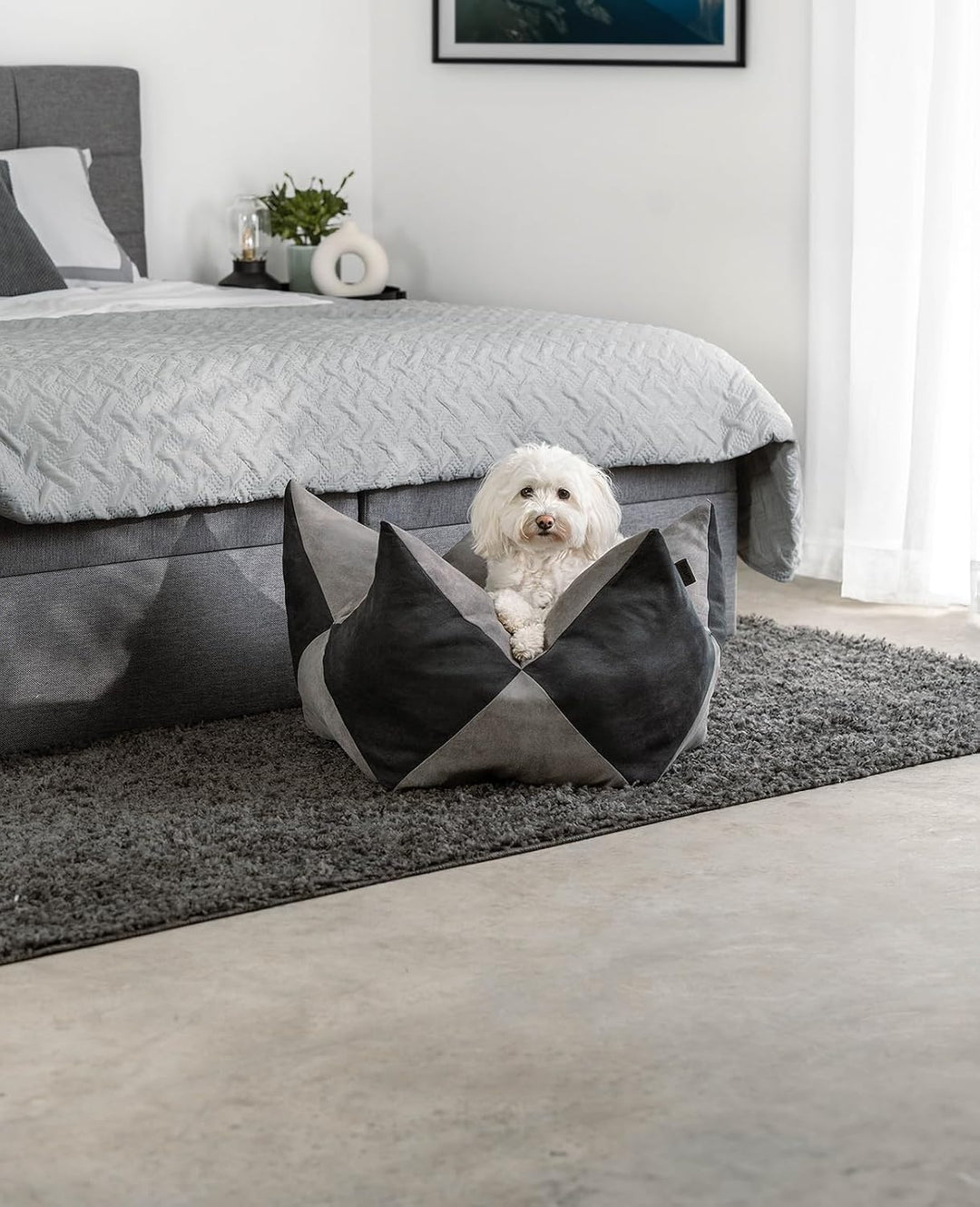 lionto Kronenkissen Sternenkissen Hundebett Katzenbett Haustierkissen, 70x38 cm grau/schwarz Grau/Sc