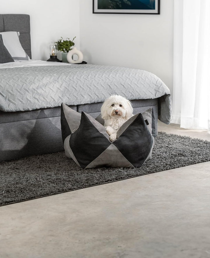 lionto Kronenkissen Sternenkissen Hundebett Katzenbett Haustierkissen, 70x38 cm grau/schwarz Grau/Sc