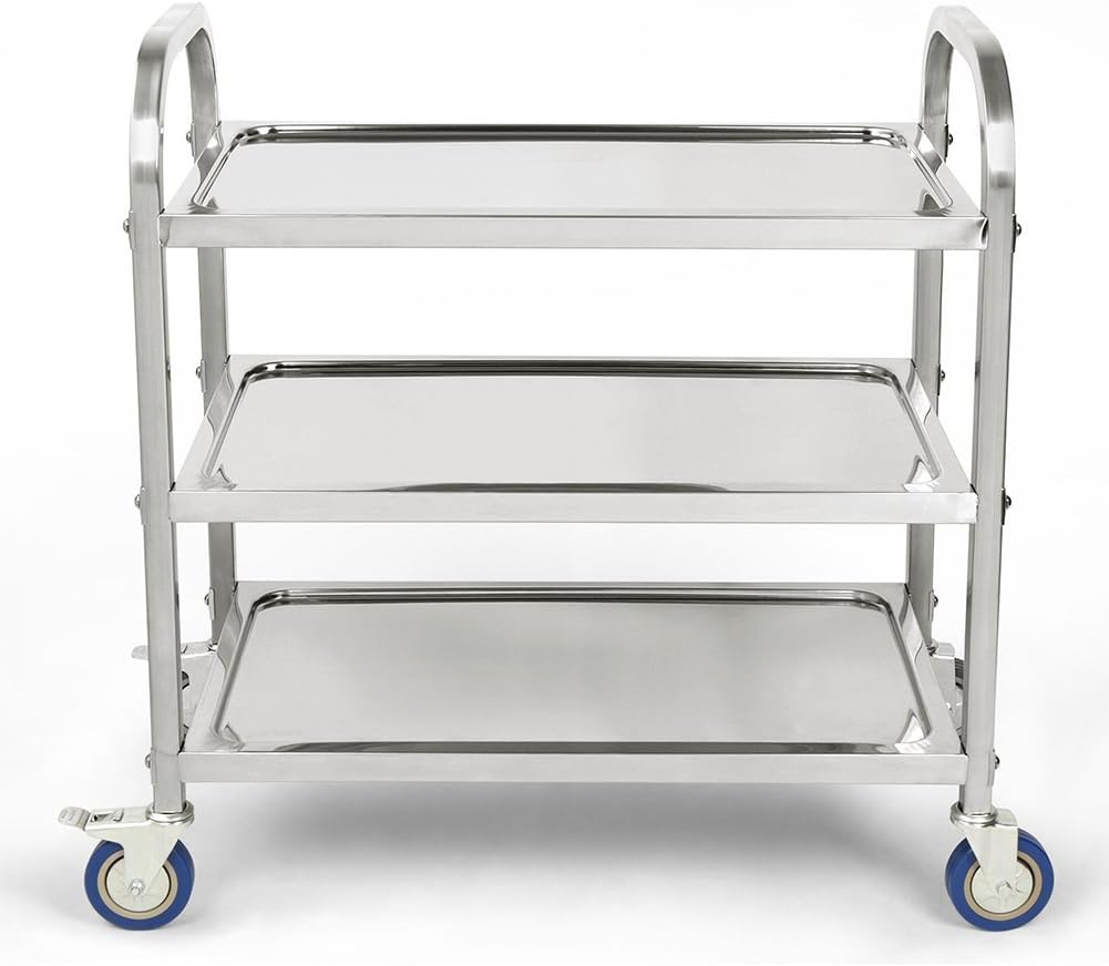LANTUS Servierwagen mit Rollen, 3 Regale, Servierwagen mit Rollen, 95 x 55 x 95 cm, silberfarben, Ed