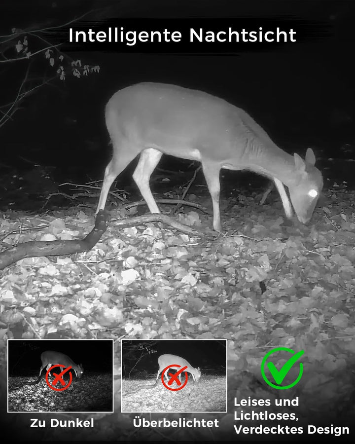 Meidase S600 4G LTE Wildkamera Handyübertragung App, Wildtierkamera mit Nachtsicht Bewegungsmelder,