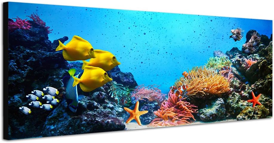 Paul Sinus Art Panoramabild auf Leinwand und Keilrahmen 120x40cm Korallenriff Unterwasser Fische See