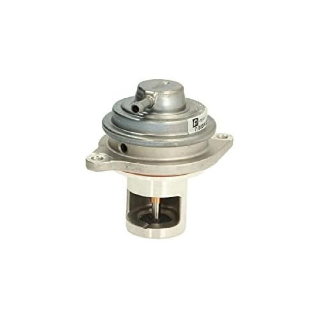 WILMINK GROUP Pierburg 7.00306.37.0 agr-ventil