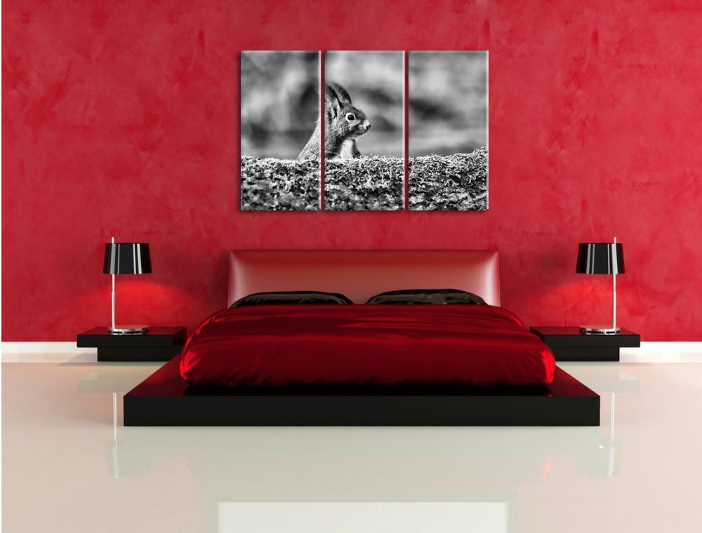 Pixxprint Eichhörnchen hinter Baumstamm als Leinwandbild/Grösse: 3 Teilig (120x80) cm/Wandbild/Kunst
