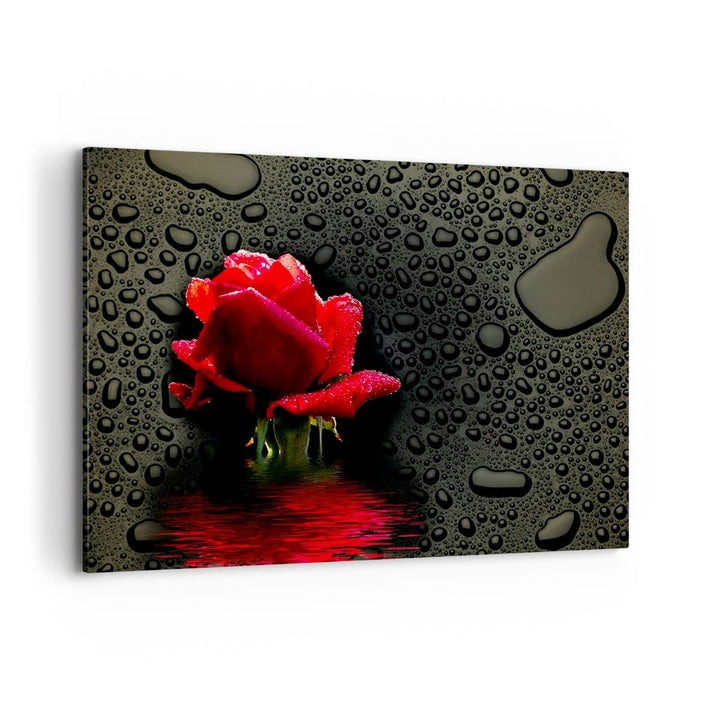 Bilder auf Leinwand 100x70cm Leinwandbild Blume rote rose wasser tau Gross Wanddeko Bild Schlafzimme