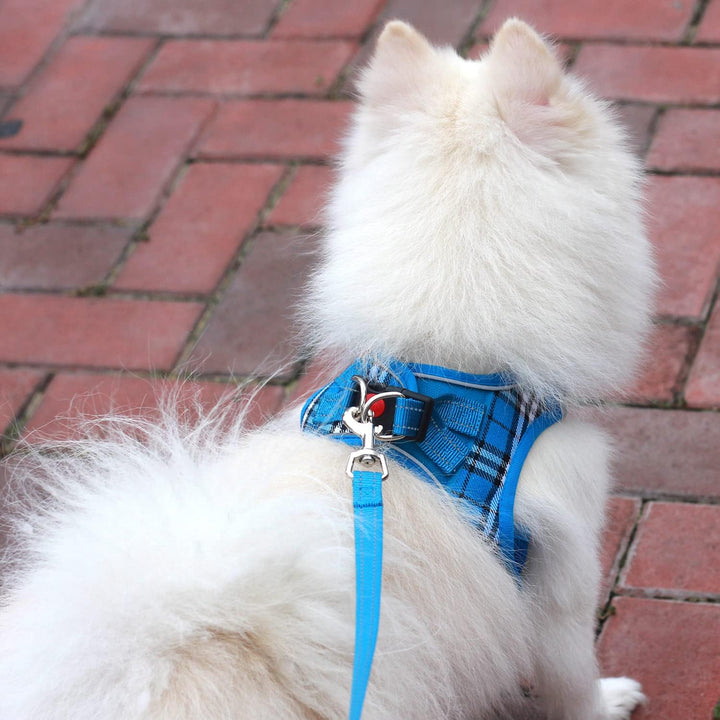 Suredoo Hundegeschirr Kleine Hunde mit Leine, Anti Zug Geschirr Reflektierend Atmungsaktiv Brustgesc