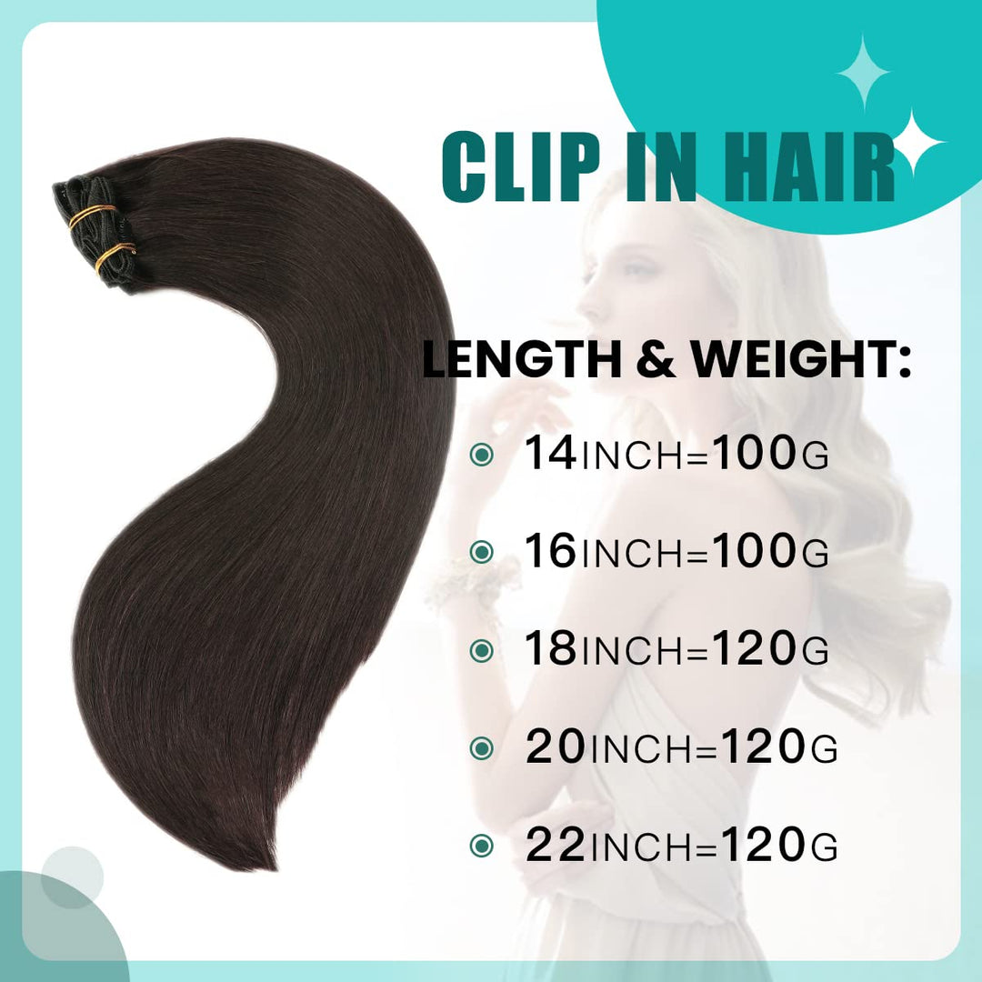 SURNEL Clip in Extensions Eechthaar, 40cm 16 Zoll 100g 6pcs Natürliches Schwarz Hair Extensions Clip