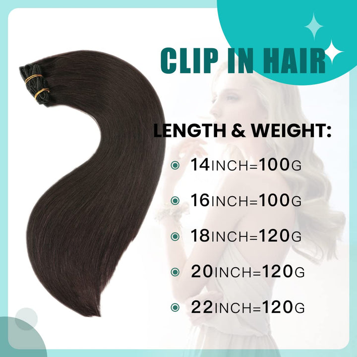 SURNEL Clip in Extensions Eechthaar, 40cm 16 Zoll 100g 6pcs Natürliches Schwarz Hair Extensions Clip