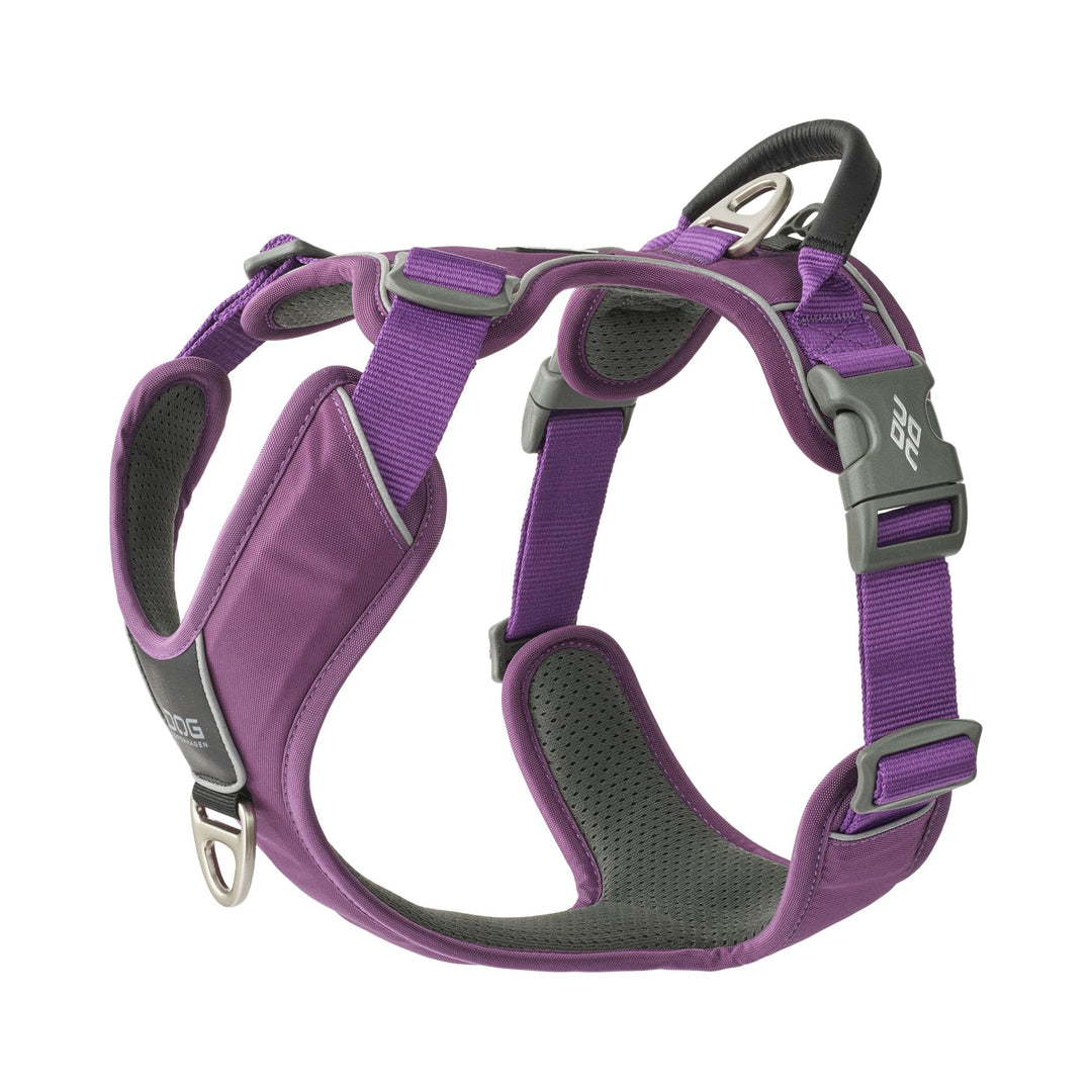 DOG Copenhagen Comfort Walk Pro Hundegeschirr, Purple Passion, XL XL Purple Passion, XL Purple Passi