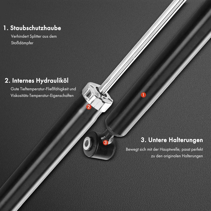 Frankberg 2x Stossdämpfer Gasdruck Hinten Kompatibel mit A-Klasse W176 A160 A180 A200 A220 A250 2012