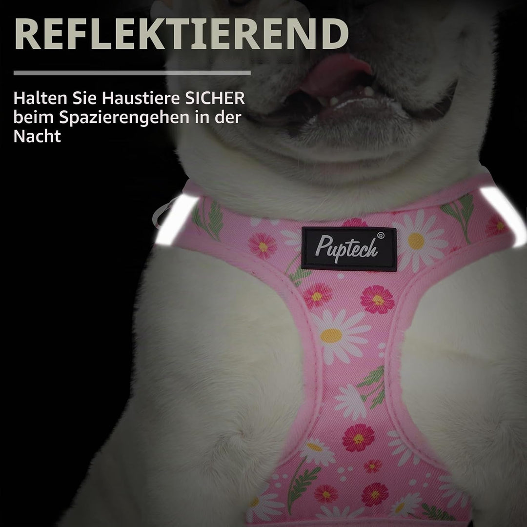 PUPTECK Hundegeschirr Und Leinen-Set Für Kleine Bis Mittlere Hunde - Weichmaschen Welpen Geschirr Mi