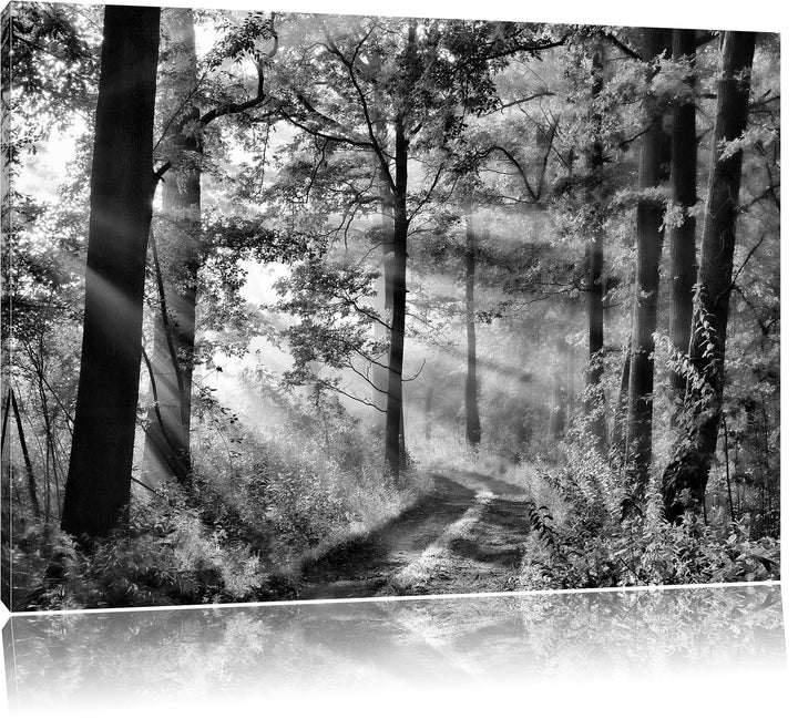 Pixxprint Waldweg im Winter als Leinwandbild/Grösse: 100x70 cm/Wandbild/Kunstdruck/fertig bespannt,