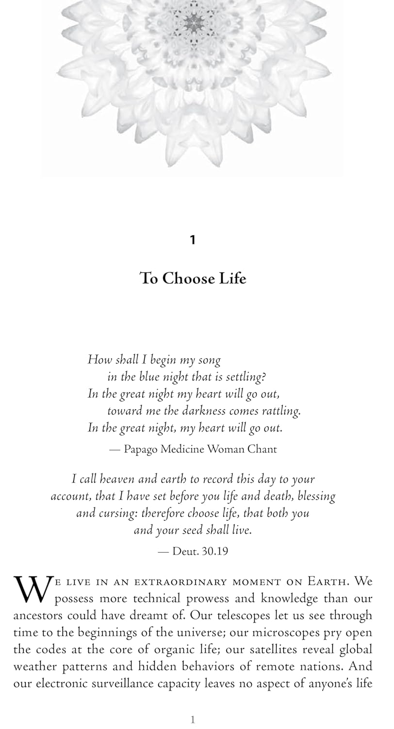 Coming Back to Life: The Updated Guide to the Work That Reconnects, Taschenbuch