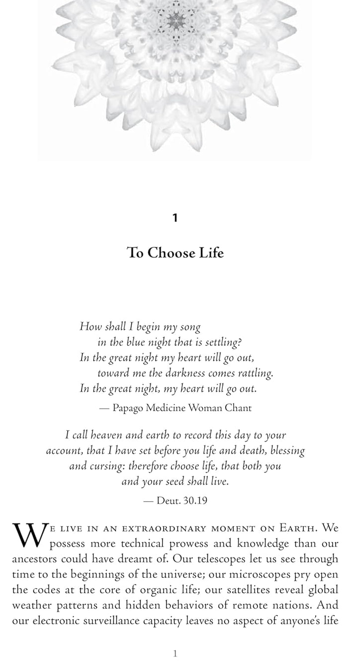 Coming Back to Life: The Updated Guide to the Work That Reconnects, Taschenbuch