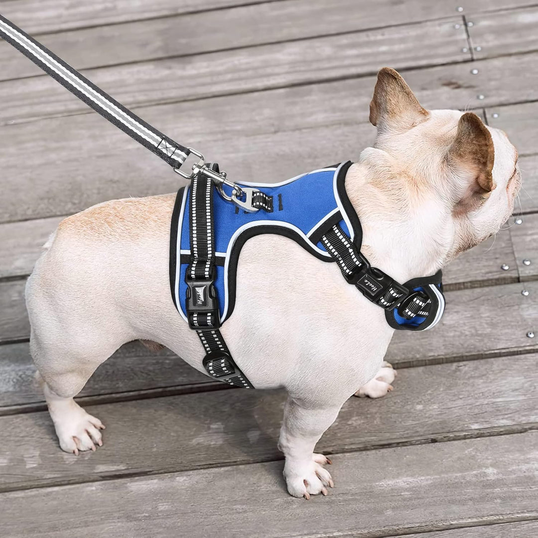HEELE Hundegeschirr ohne Zug, Brustgeschirr für mittel Hund, einstellbares reflektierendes Hunde Ges