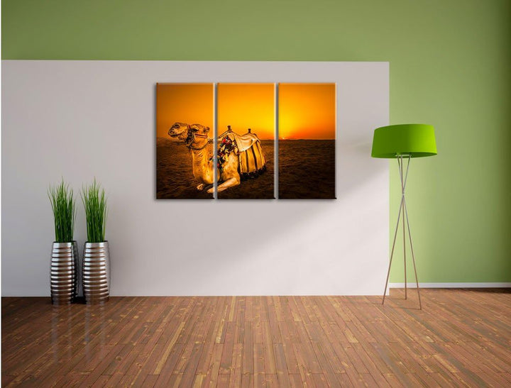 Pixxprint Kamel bei Sonnenuntergang in Ägypten 3-Teiler Leinwandbild 120x80 Bild auf Leinwand
