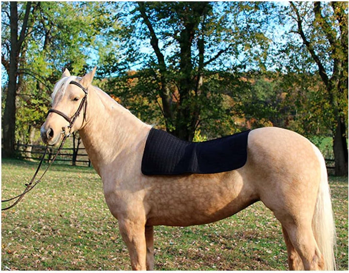 Back on Track Therapeutische Pferd Western Pad, 31 von 30