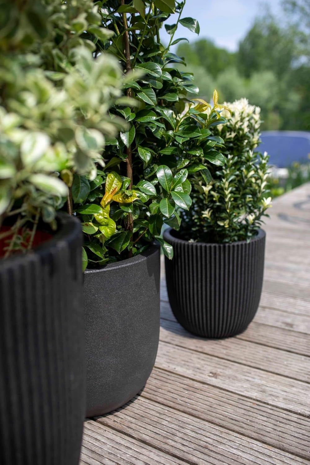 Capi Europe - Blumentopf Kugel Smooth NL - 43x41 - Schwarz - Öffnung Ø35 - Blumentopf für den Innen-