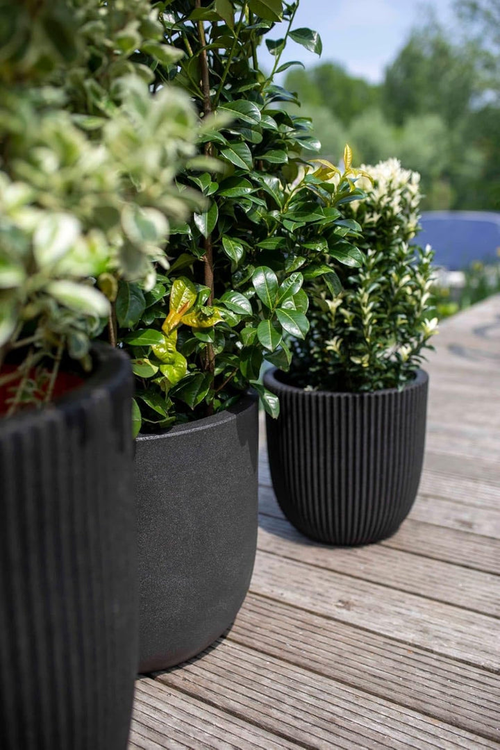 Capi Europe - Blumentopf Kugel Smooth NL - 43x41 - Schwarz - Öffnung Ø35 - Blumentopf für den Innen-