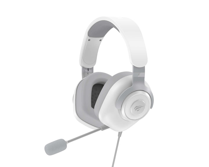 Havit H2230d Gaming Headset mit abnehmbarem, omnidirektionalem Mikrofon – 50 mm Treiber & Surround S
