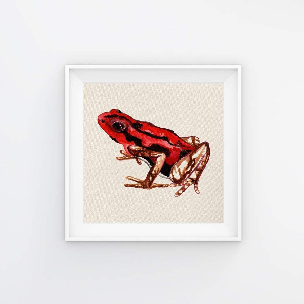 Nacnic Pack Blatt für die Gestaltung DREI Frösche. Square gerahmte Poster in der Grösse 25x25 mit Ra