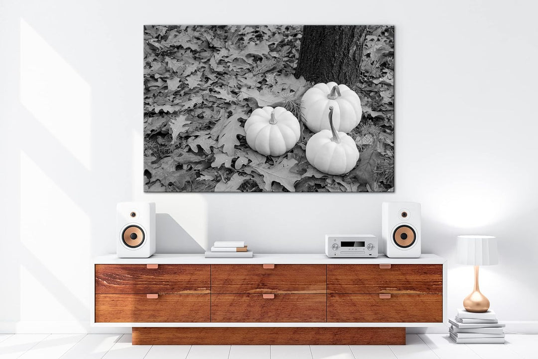 deyoli frische Kürbise Effekt: Schwarz&Weiss Format: 80x60 als Leinwandbild, Motiv fertig gerahmt au