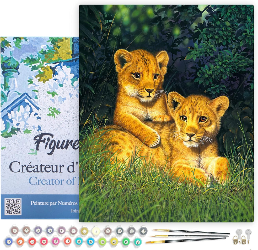 Figured'Art Malen Nach Zahlen Erwachsene Mit Rahmen Junge Löwen - Paint by Numbers Basteln DIY Baste