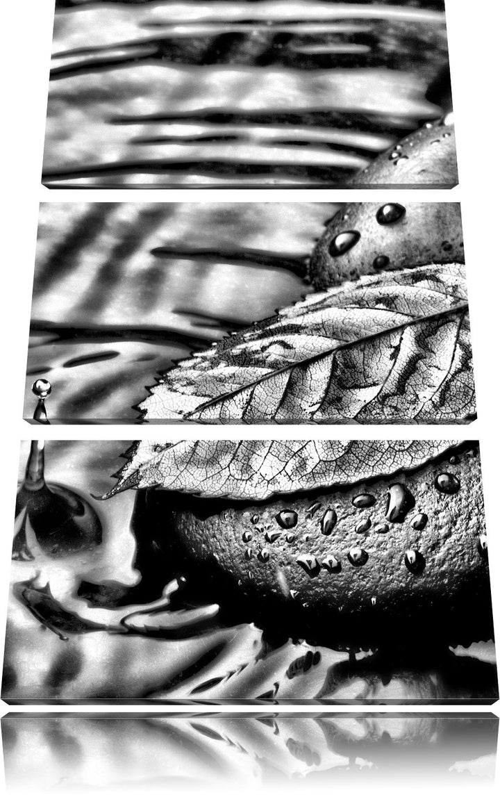 Pixxprint Stein mit Blatt als Leinwandbild/Grösse: 3 Teilig (120x80) cm/Wandbild/Kunstdruck/fertig b